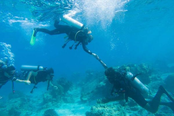 awe-mantagray-dive-1000BBF1DA68-5CF6-E99F-5DC6-4ACCF4D0B8F0.jpg