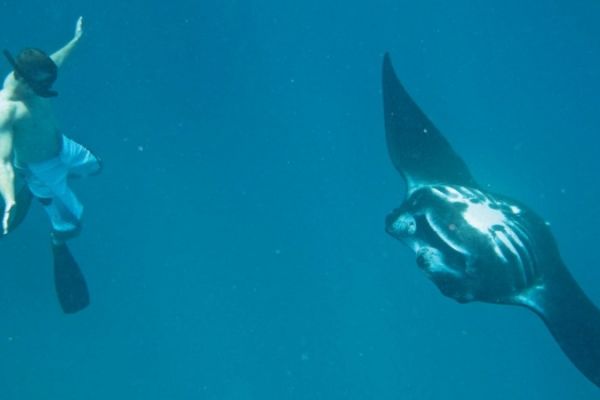 awe-mantaray-resort-fiji-4-800F0C45662-A167-5357-0B82-8B6CC4404B10.jpg